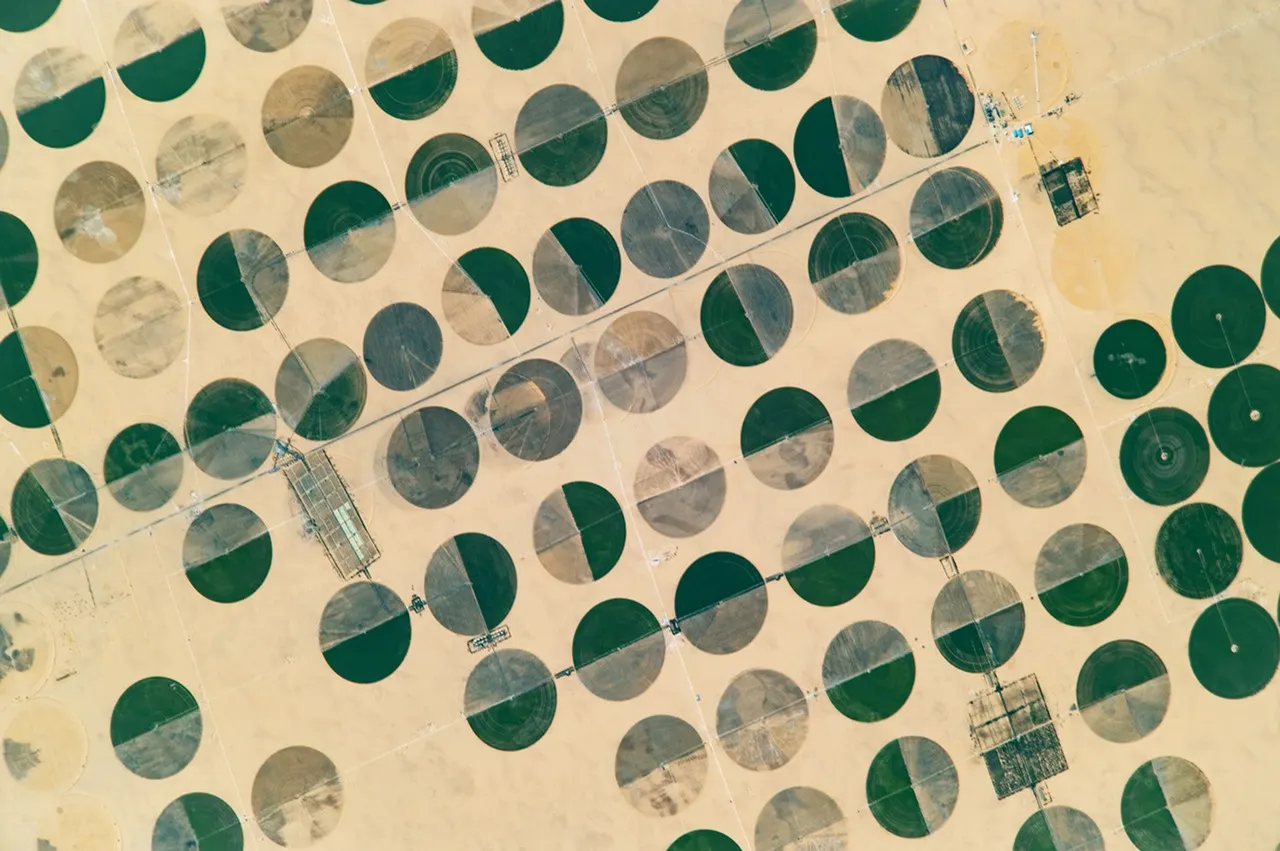 Circular green and brown agricultural fields surrounded by desert at Sharq El Owainat, Egypt.